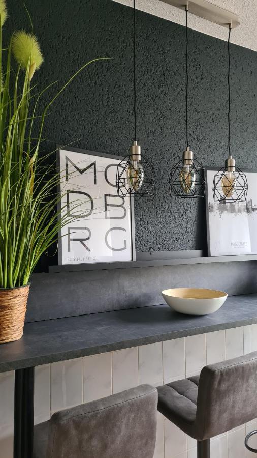 Ferienwohnung, Monteurwohnung, Unterkunft Elise Magdeburg Exteriör bild