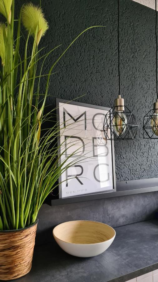 Ferienwohnung, Monteurwohnung, Unterkunft Elise Magdeburg Exteriör bild
